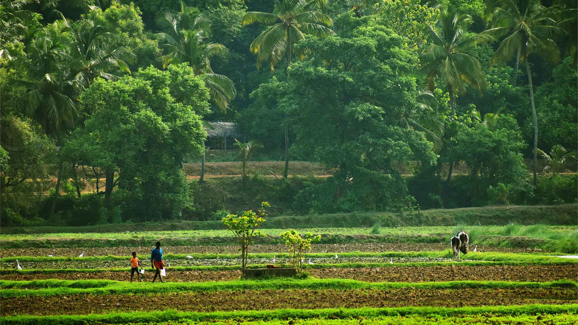 StayInKeralam